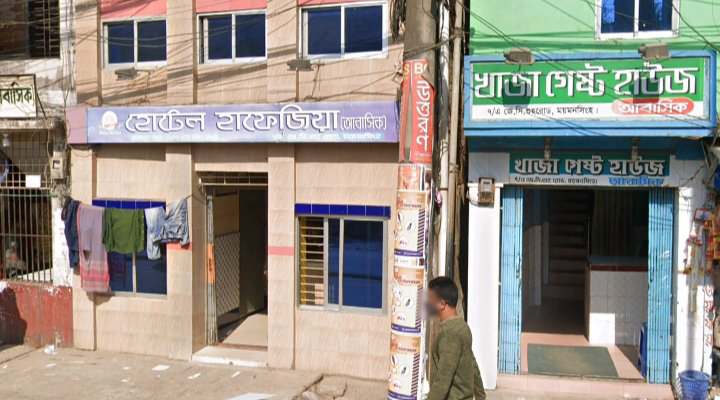 Pising ayollar galereyasi mushuk